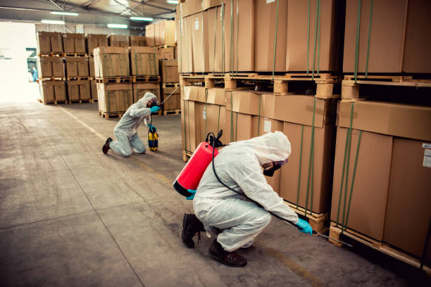 Best Affordable Exterminators  in Davis, OK