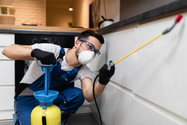 Best Affordable Pest Control Services  in Davis, OK