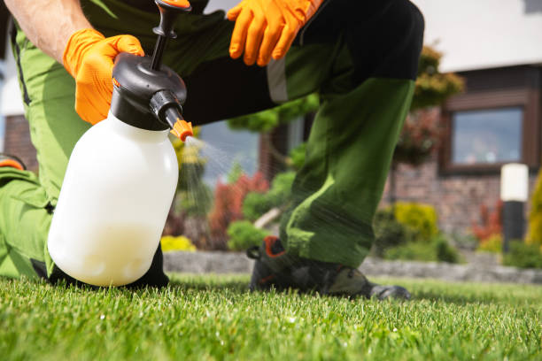 Best Pest Control Near Me  in Davis, OK