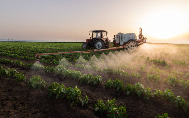 Best Commercial Pest Control Services  in Davis, OK