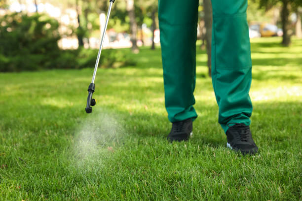 Best Wasp Removal Services  in Davis, OK