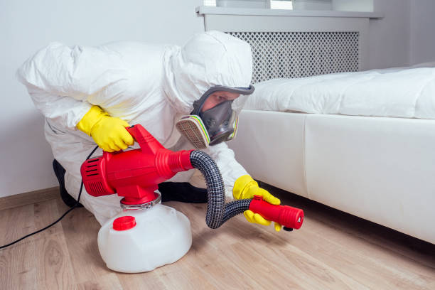 Best Pest Inspection Near Me  in Davis, OK