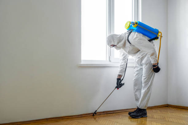Best Emergency Pest Control  in Davis, OK