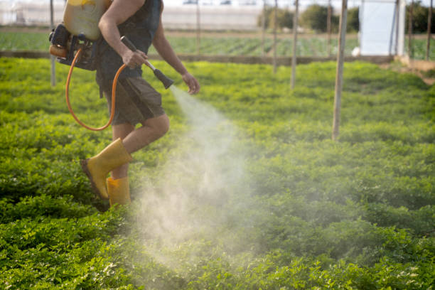 Best Emergency Pest Control  in Davis, OK
