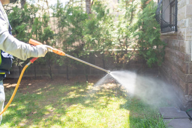 Flea Control Services in Davis, OK