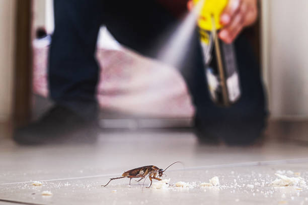  Davis, OK Pest Control Pros