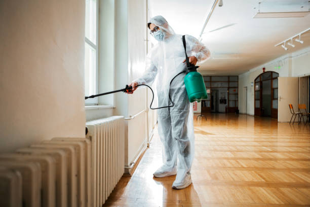 Best Bed Bug Extermination  in Davis, OK