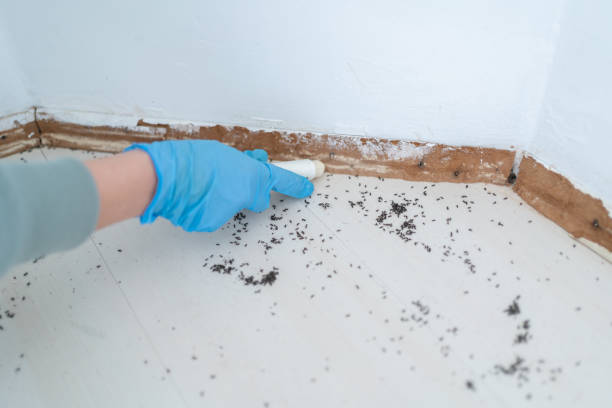 Davis, OK Pest Control Company