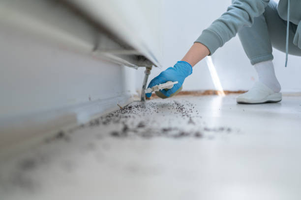 Best Pest Inspection Near Me  in Davis, OK