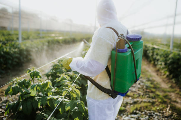 Best Ant Control Services  in Davis, OK